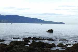 OWHIRO-BAY (6)